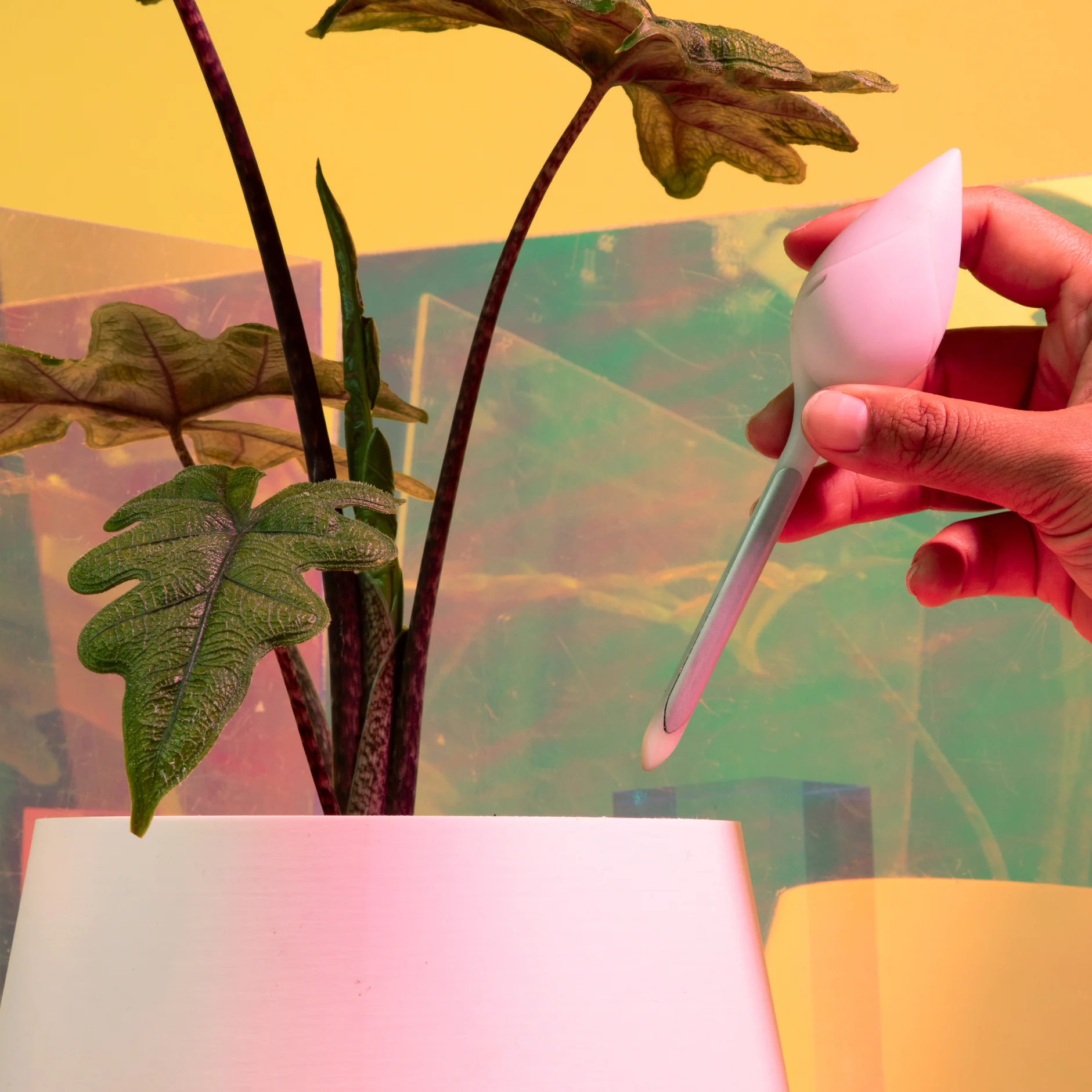 Thumb 2