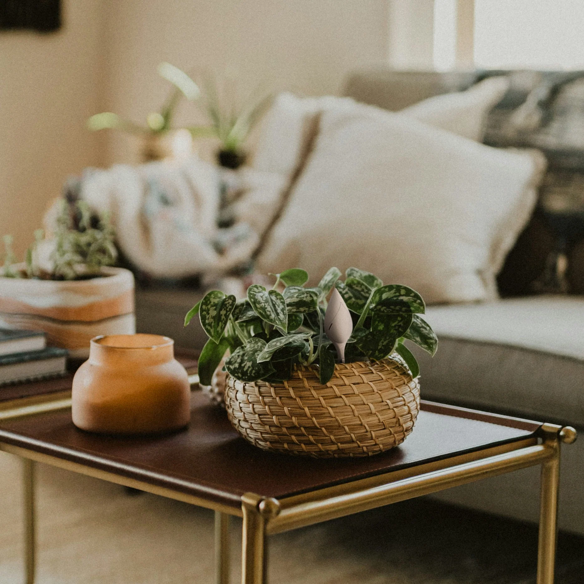 Thumb 4